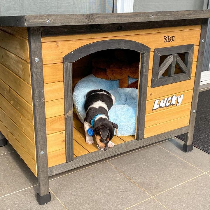 Basic Steps to Build the Insulated Dog House