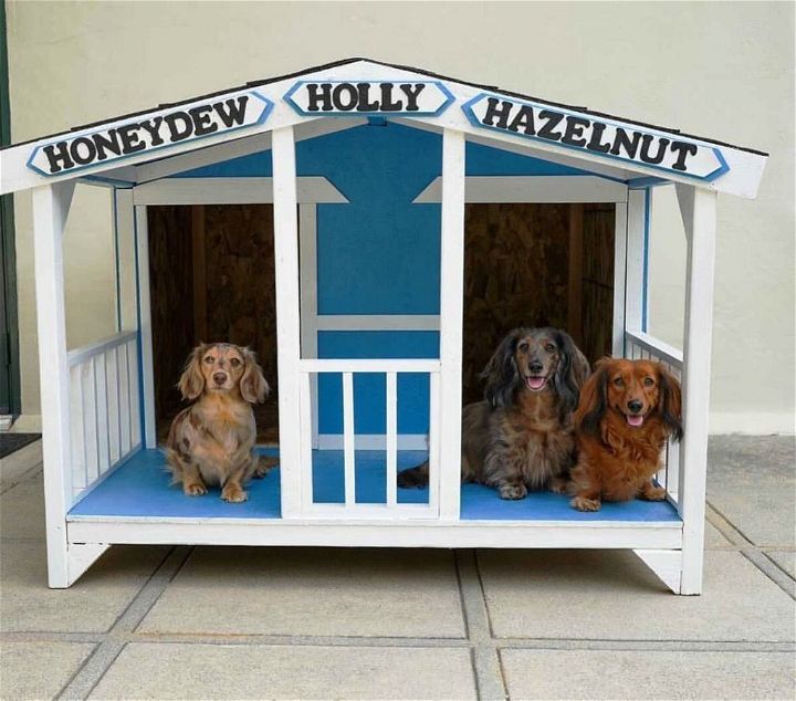 Things to Add to Idealize the Dog House